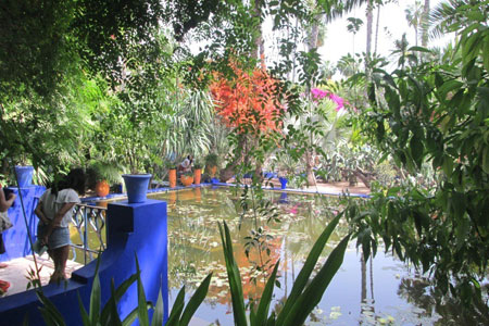 Jardin Majorelle Pak